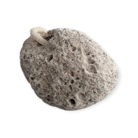 INT4BELUA Hund trimmen mit Bimsstein