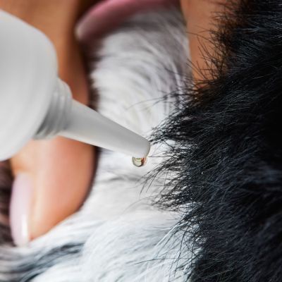 Thumbnail 4: Tierliebhaber Z-Spot für Hunde - Gegen Zecken & Flöhe