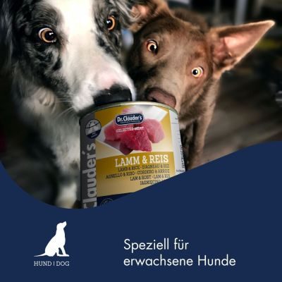 Thumbnail 2: Dr.Clauder’s Selected Meat Lamm & Reis 400g