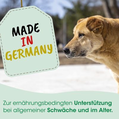 Thumbnail 5: cdVet SeniorDog 600 g – Natürliche Unterstützung für Hunde im besten Alter