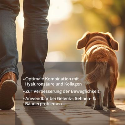 Thumbnail 3: TJURE TJURE - Gelenk Tabs 250 g | Reduziert Gelenkprobleme | fördert Gelenkgesundheit