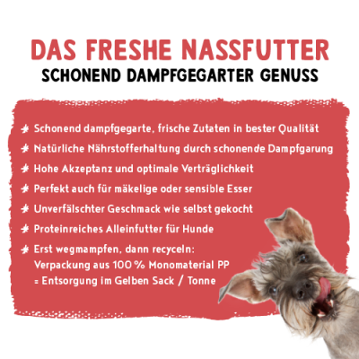 Thumbnail 6: bosch Tiernahrung Freshe Schnauze Rind&Hirse – proteinreiches Nassfutter – 250g