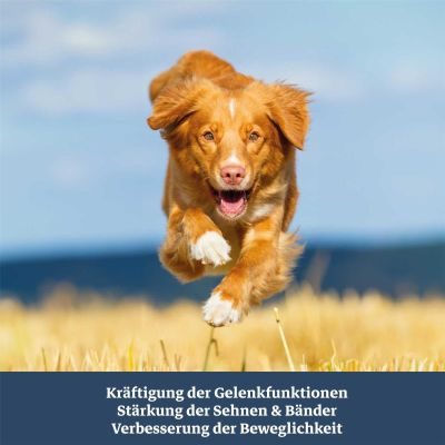 Thumbnail 6: TJURE TJURE - Gelenk Tabs 250 g | Reduziert Gelenkprobleme | fördert Gelenkgesundheit