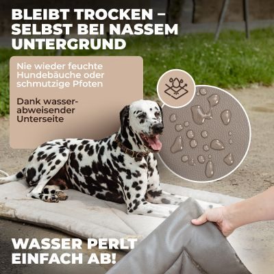 Thumbnail 6: Lous Lous Hunde Picknickdecke Grau / L-100x80x3cm