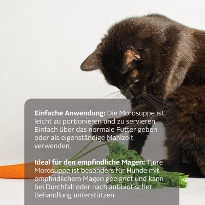 Thumbnail 4: TJURE TJURE - Moro´sche Möhrensuppe - 6er Pack | bei Magen Darm Problemen | Durchfall |