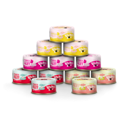 Bild 1 von 1: Lucky Lou® Lucky Lou® Extra Food Jelly-Mix-Box 12 x 70g Dose
