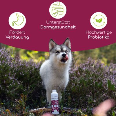 Thumbnail 5: Wolfsbacher Natur Probiotika Darm Elixier für Hunde