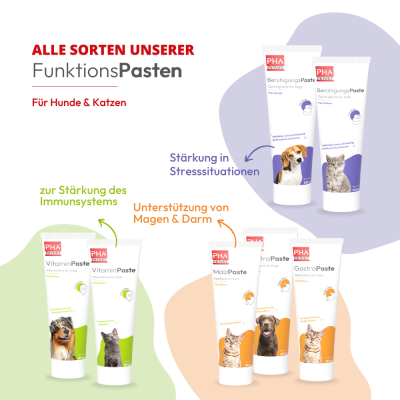Thumbnail 3: PHA PHA GastroPaste für Hunde - 100 ml - Nahrungsergänzung - Futterergänzung