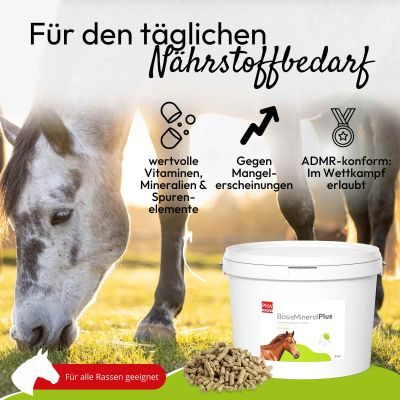 Thumbnail 2: PHA PHA BasisMineralPlus Pellets für Pferde