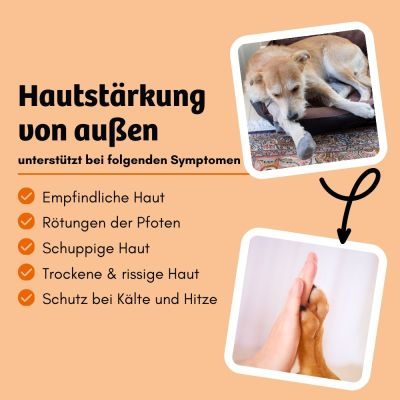 Thumbnail 4: BugBell Haut & Pfotenbalsam