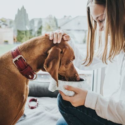 Thumbnail 9: HUNTER Halsband Aalborg Rustica M (55), rot