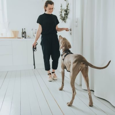 Thumbnail 3: HUNTER Geschirr Aalborg M-L/1, schwarz