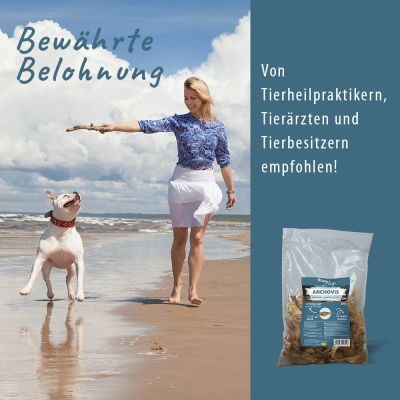 Thumbnail 4: Fit-Hap FishHap Anchovis 200 g – 100 % natürlicher Fischsnack für Hunde & Katzen