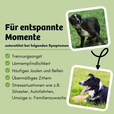 Thumbnail 4: BugBell Veganes Nassfutter Entspannung