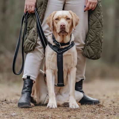 Thumbnail 3: Rudelkönig Gepolstertes Brustgeschirr mit Haltegriff, Verstellbares Hundegeschirr