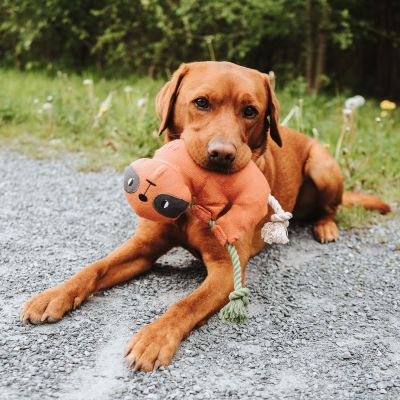 Thumbnail 5: HUNTER Hundespielzeug Rio Faultier mit Tau 30 cm