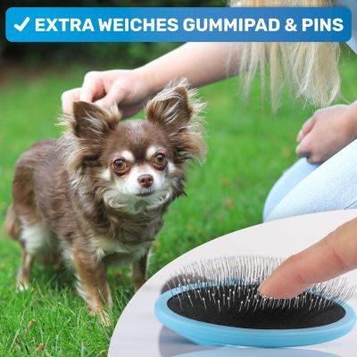 Thumbnail 4: BluePet Kleine sanfte Zupfbürste, Hundebürste & Katzenbürste mit weichen Pins, zur täglichen Anwendung für empfindliche Tiere im Fellwechsel / Welpen geeignet