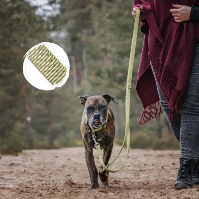 Thumbnail 5: Rudelkönig Hundeleine Frida 2,30m, Verstellbare Hundeleine große Hunde, Robuste Führleine