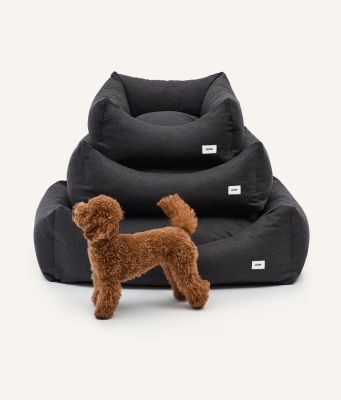 Thumbnail 5: CAFIDE Hundebett, Snozy