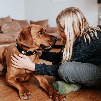 Thumbnail 8: HUNTER Halsband Magic Star M (55), schwarz