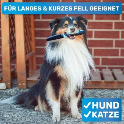 Thumbnail 5: BluePet Flohkamm & Läusekamm für Hunde & Katzen, Flöhe & Zecken effektiv & schonend entfernen - feiner Hundekamm, Staubkamm, Nissenkamm auch gegen Nymphen