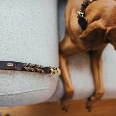 Thumbnail 7: HUNTER Verstellbare Führleine Solid Education Duo 20/200, dunkelbraun/oliv