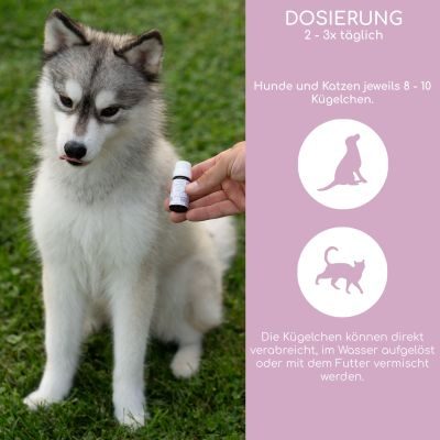 Thumbnail 6: Wolfsbacher Natur Bachblüten Globuli - Aggression