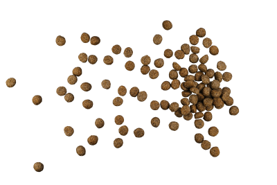 Thumbnail 3: Green Petfood Sensitive with Insects and Rice, leicht verdauliches Trockenfutter mit Insektenprotein, 10kg