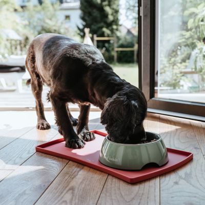 Thumbnail 7: HUNTER Melamin-Napf Kington 350 ml, grün