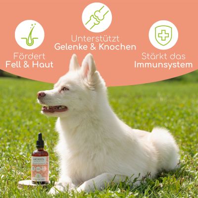 Thumbnail 10: Wolfsbacher Natur Natürliches Lachsöl für Hunde & Katzen 250ml