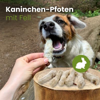 Thumbnail 2: kauartikel.com Kaninchen-Pfoten mit Fell - Hunde-Kauartikel - Hunde-Snack - Hypoallergen-Kausnack - Hasen-Leckerli