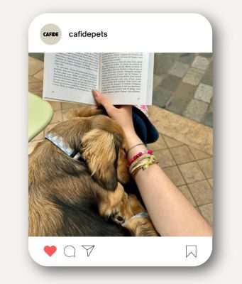 Thumbnail 9: CAFIDE Recyceltes PET-Halsband, Juno