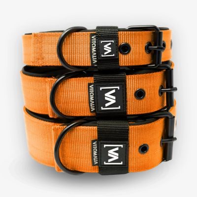Thumbnail 5: Vitomalia Klassisches Hundehalsband mit abstehender Innenfütterung - Nero Orange