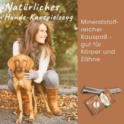 Thumbnail 3: Fit-Hap Geweihmineral-Snack halb XL (160-250 g) – Natürlicher Kausnack aus Abwurfstange für Hunde