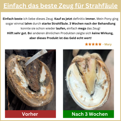 Thumbnail 6: Hoofgold HoofgoldBlueStuff Strahlpflegemittel - Schnelle Hilfe bei Strahlfäule