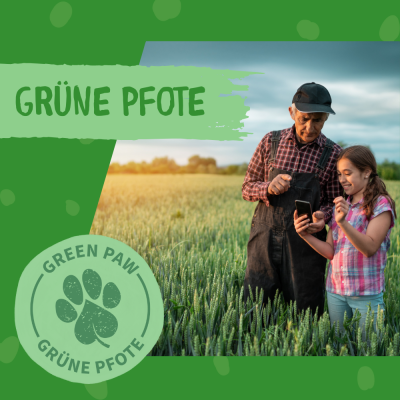 Thumbnail 5: Dokas Sticks mit Kurkuma (100% pflanzlich) 6x 105g Multipack