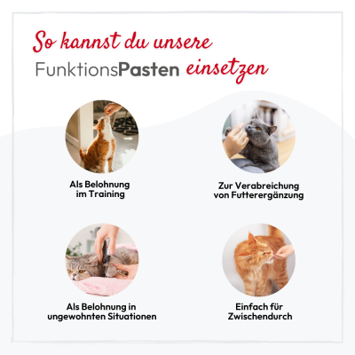Thumbnail 2: PHA PetVet - PHA BeruhigungsPaste für Katzen - 100 ml - Nahrungsergänzung - Futterergänzung