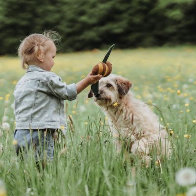 Thumbnail 7: HUNTER Hundespielzeug Florenz, Biene 29 cm