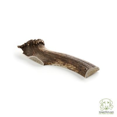 Thumbnail 1: kauartikel.com Hirsch-Geweih halbiert - Hunde-Kauartikel - Hunde-Snack - Hypoallergen-Kausnack - Wild-Leckerli