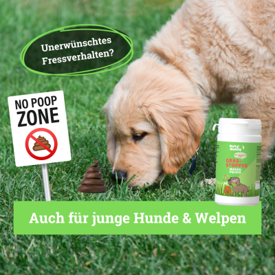 Thumbnail 5: BeG Buddy Gras-Stopper Magen-Pulver, bei Fressen von Gras und Kot für Hunde, 150 g