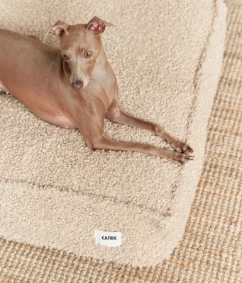 Thumbnail 5: CAFIDE Teddyfell-Hundebett, Cuadra
