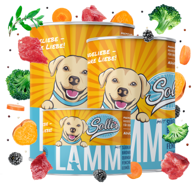 Thumbnail 1: Sollis Hundenassfutter mit Lamm 6x 400 g