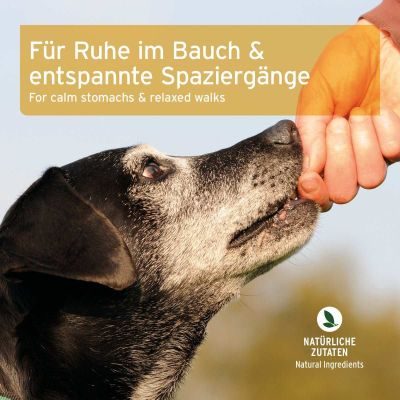 Thumbnail 3: AniForte Gras- & Kotfresser Snack