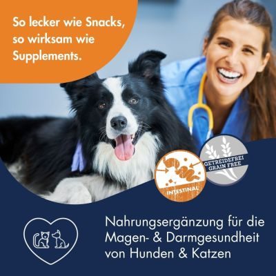 Thumbnail 2: Dr.Clauder´s Supplement Snack Intestinal 150g