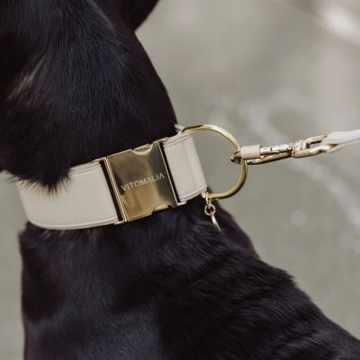 Thumbnail 6: Vitomalia VitomaliaPiñatex Luxus-Hundehalsband aus nachhaltiges Ananas-Leder in Beige