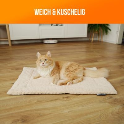 Thumbnail 3: SCHLITZOHR Katzendecke Minka
