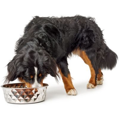 Thumbnail 6: HUNTER Edelstahlnapf Namy XXXL (3800 ml)