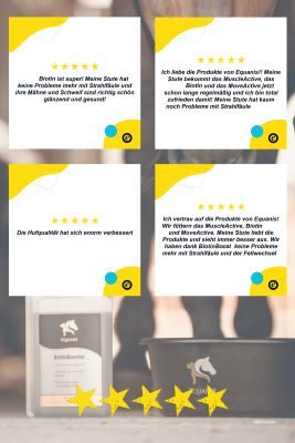 Thumbnail 2: Equanis BiotinBooster – Biotin Pferd