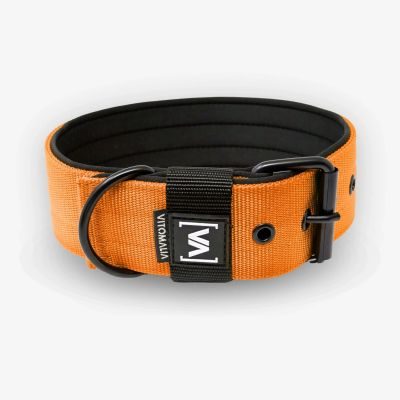 Vitomalia Klassisches Hundehalsband mit abstehender Innenfütterung - Nero Orange