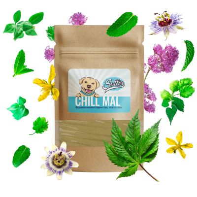 Sollis Kräuterliebe Chill Mal, natürliches Ergänzungsfutter als Beruhigungsmittel für Hunde, 100 g